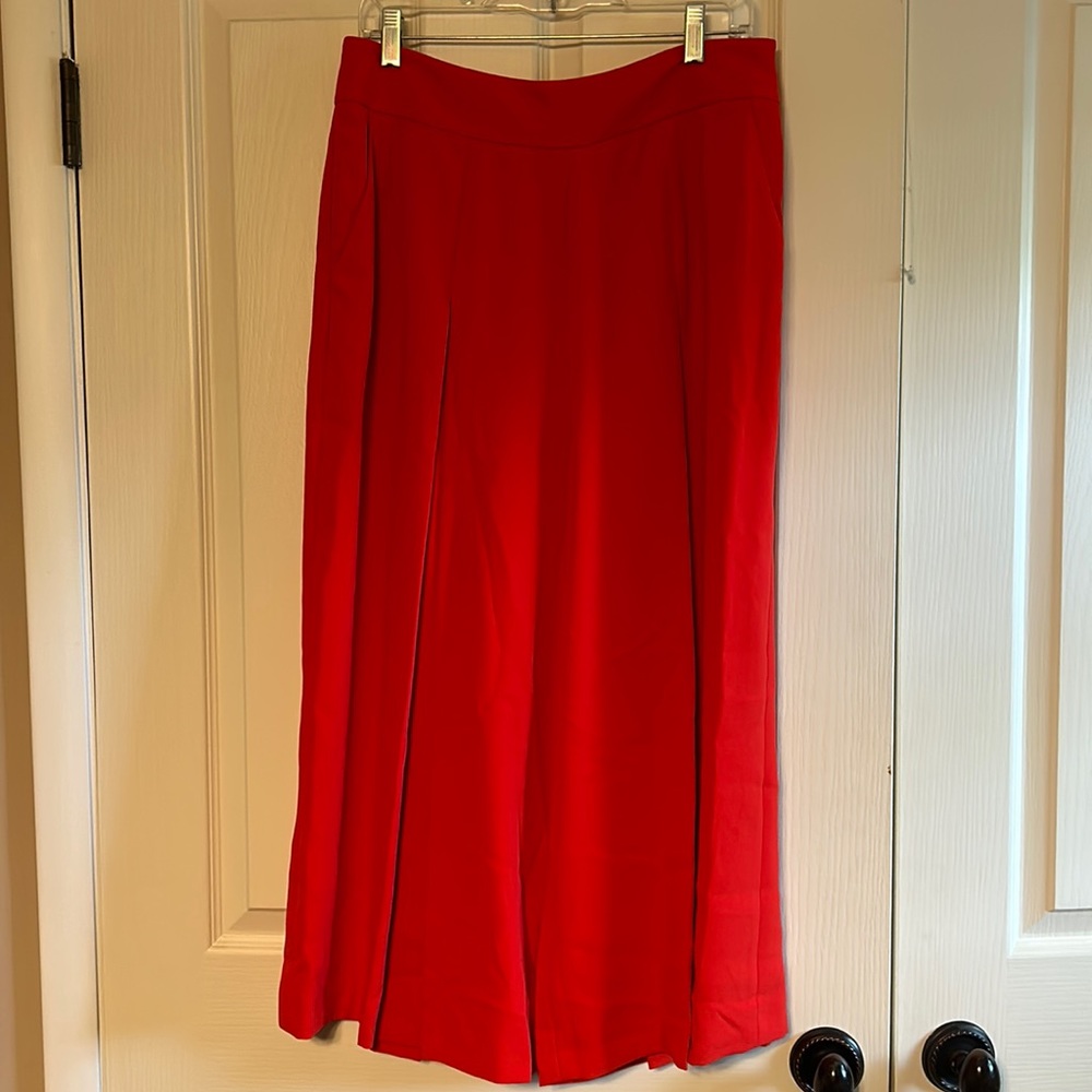 NWT Ted Baker Pants